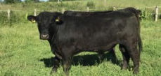 Exploitation en Agriculture Biologique